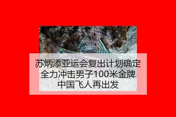 su-bing-tian-ya-yun-hui-fu-chu-ji-hua-que-ding-quan-li-chong-ji-nan-zi-mi-jin-pai-zhong-guo-fei-ren-zai-chu-fa-2-521.jpg